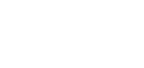 biplane logo