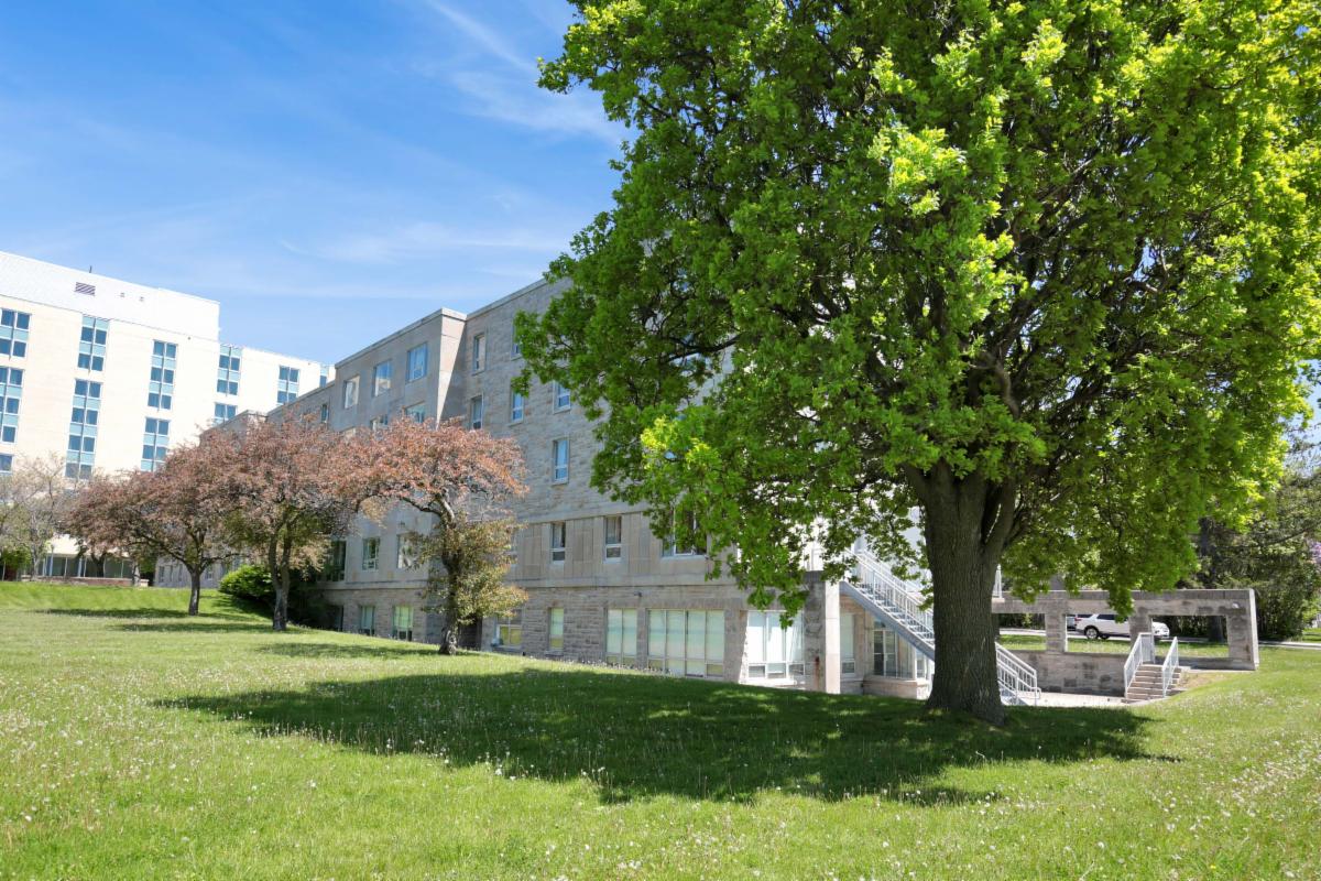 A tree stands by Morris Hall on a sunny summer day.