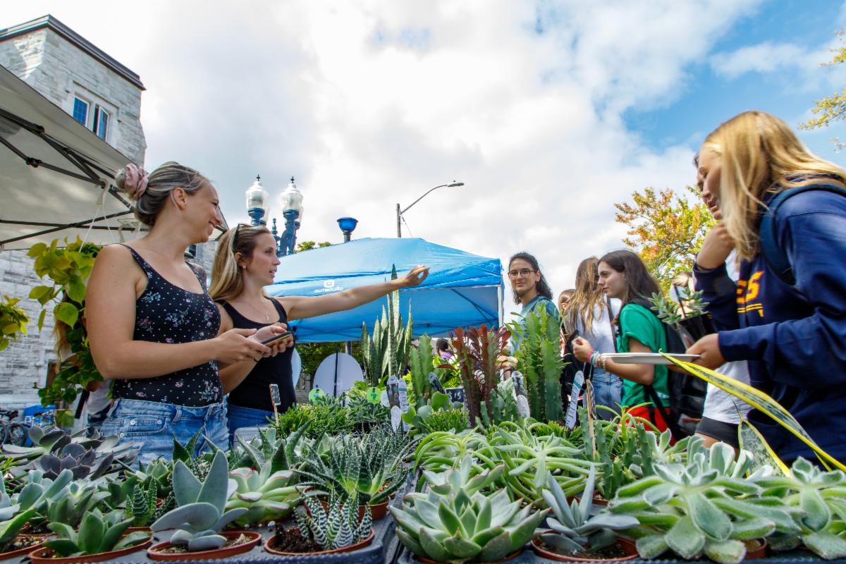 Plant stall at the Sidewalk Sale!