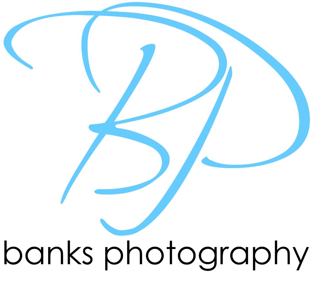 logo.jpg