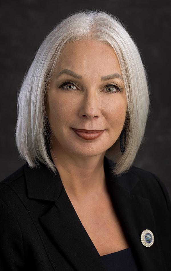 View of Sales & Use Tax | South Dakota Department of Revenue