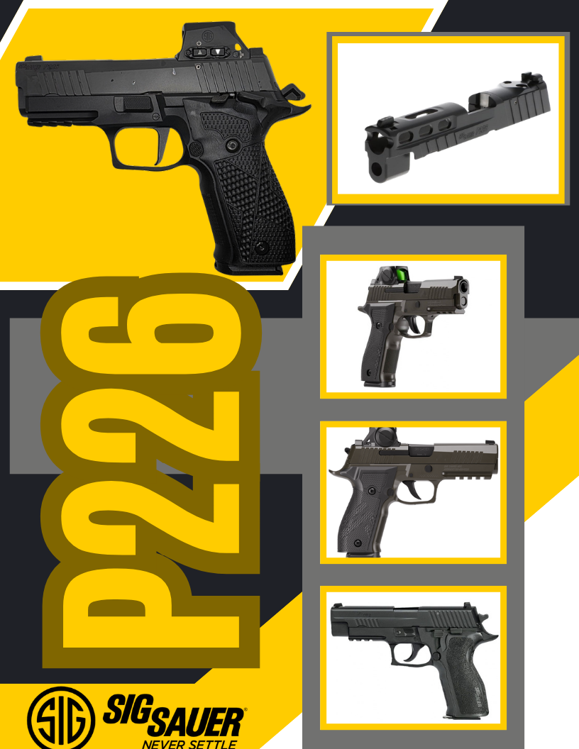 Sig_P226_s_p1.png