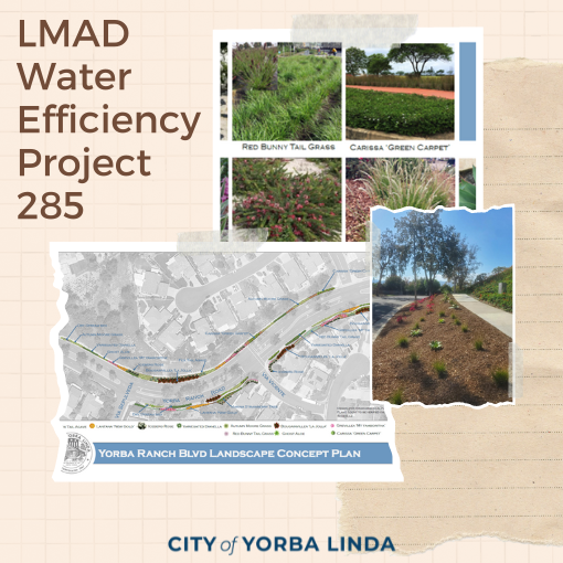 LMAD Water efficiency project 285