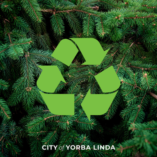 See What's New in the City of Yorba Linda