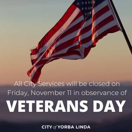 facility closure on veterans day with american flag pictured
