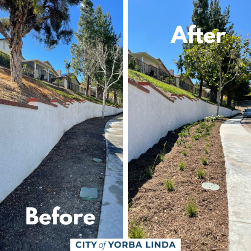 Before and after photos of planters