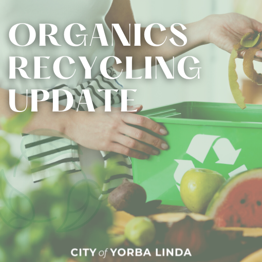 A person places fruit peal into a green organic waste basket