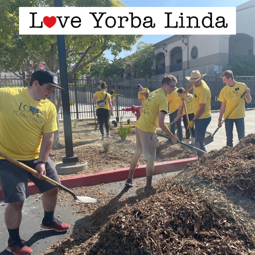 volunteers digging mulch
