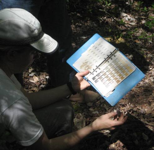 Wetland Delineation - Munsell Color Chart