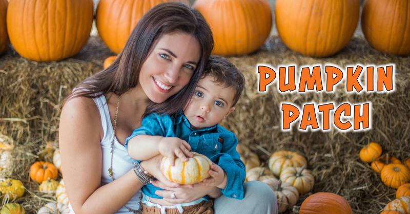 Pumpkin Patch