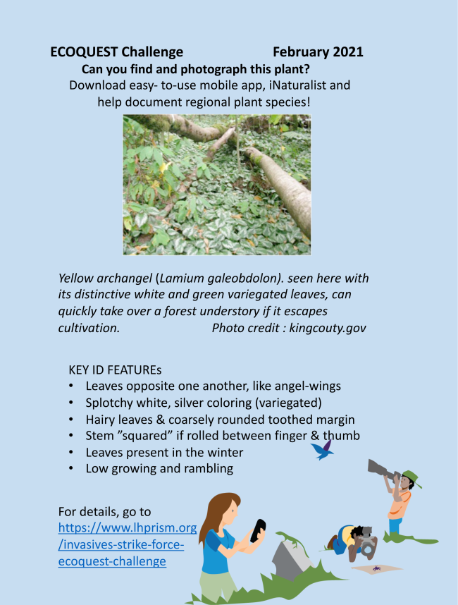 Pound Ridge Community Events