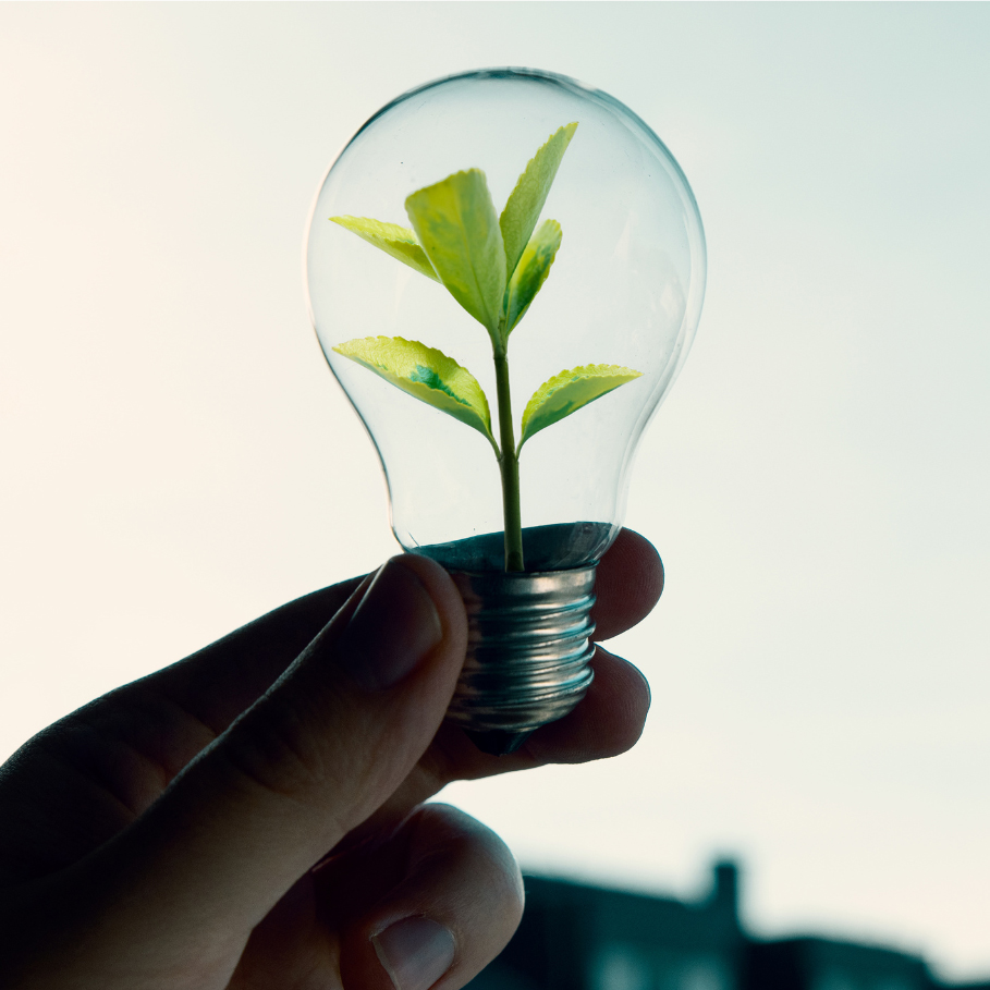 hand holding light bulb with plant growing inside