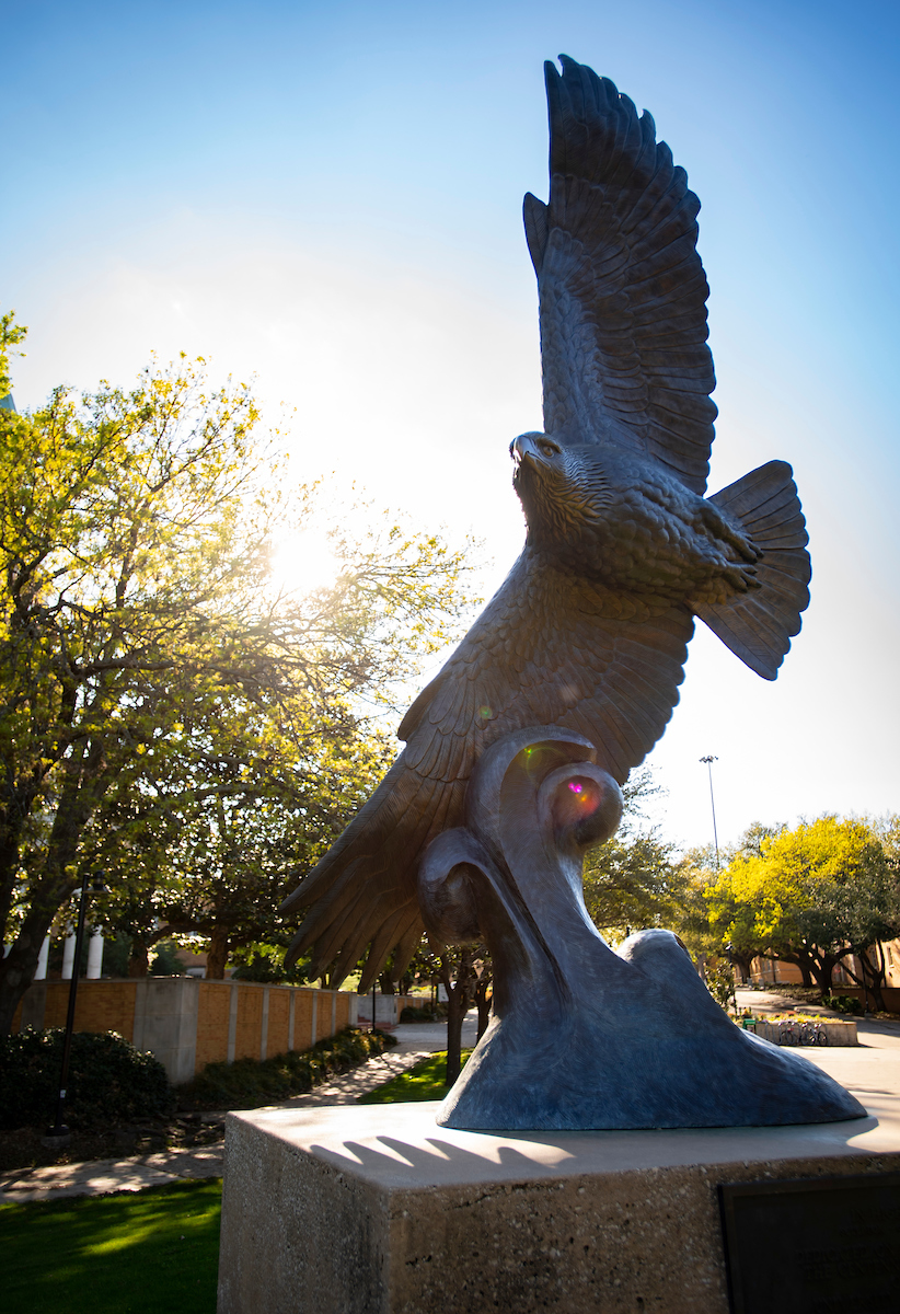 UNT Eagle statue backlit by afternoon sun
