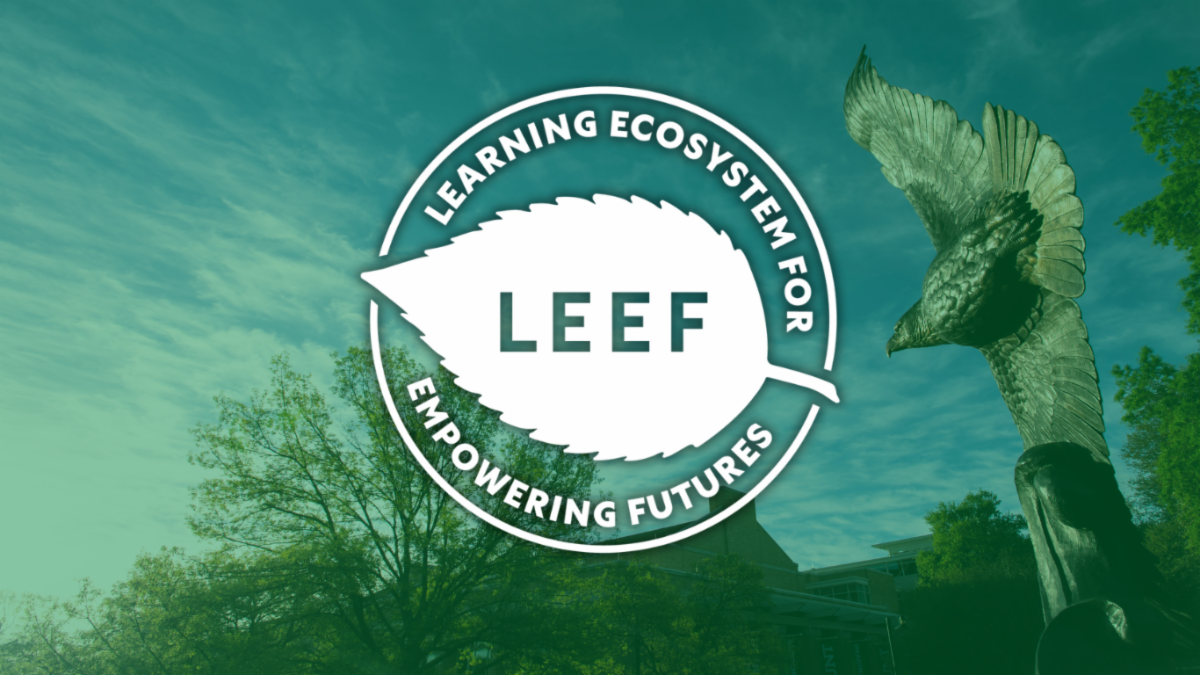 LEEF logo