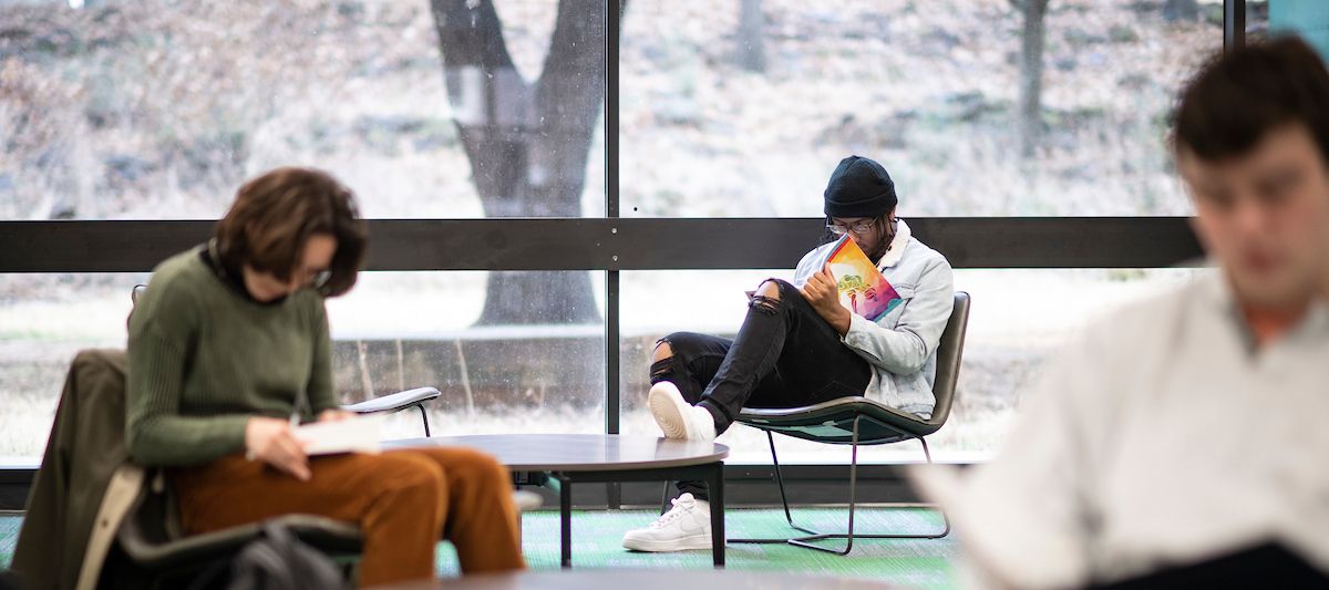 Students studying in Willis Library