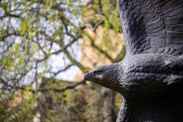 Closeup of UNT bronze eagle statue