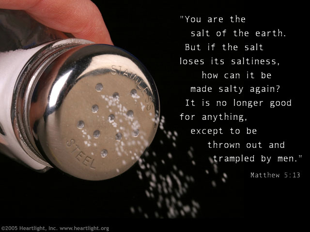 matthew5_13.jpg