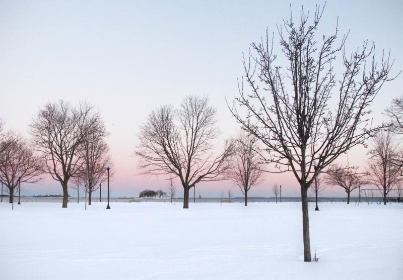 Calf Pasture Beach by Van Collins