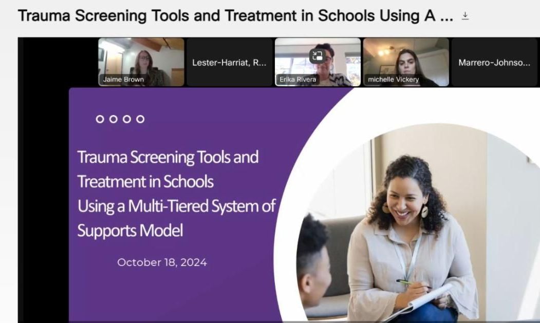 Screenshot from webinar for UConn SSW