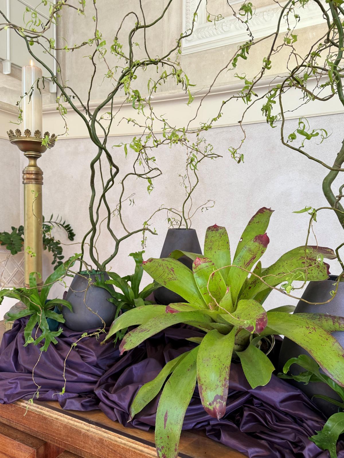 Altarscape on the Second Sunday of Lent