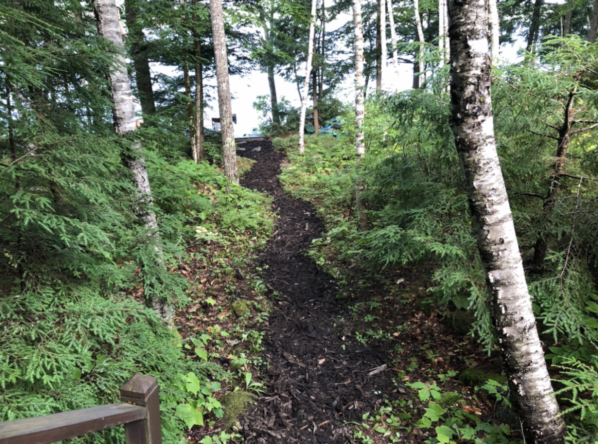 Screen Shot 2022-04-16 at 8.12.18 AM.png