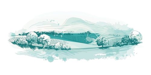 Watercolor field on small hills. Meadow green grass_ grassland_ pasturage_ farm_ trees. Rural scenery landscape panorama of countryside pastures. Hand drawn vector illustration