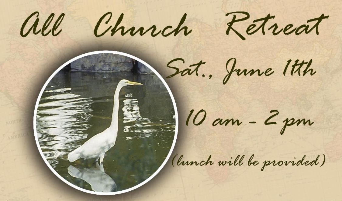 egret_17184ac _1_.jpeg