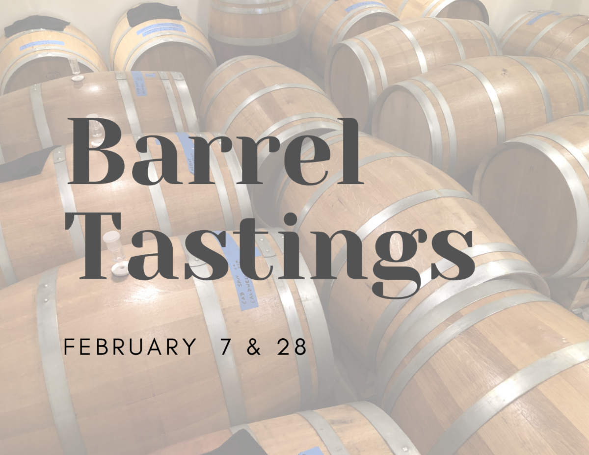 News from Painted Horse Winery