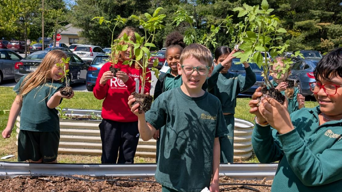 CCEDC Board Report - June 2026
