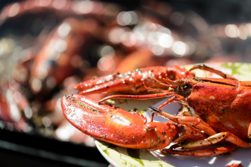 lobster_grill.jpg