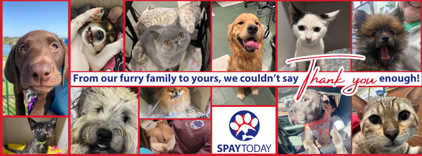 From_nose_to_tail_we_couldn_t_thank_you_enough_p1.png