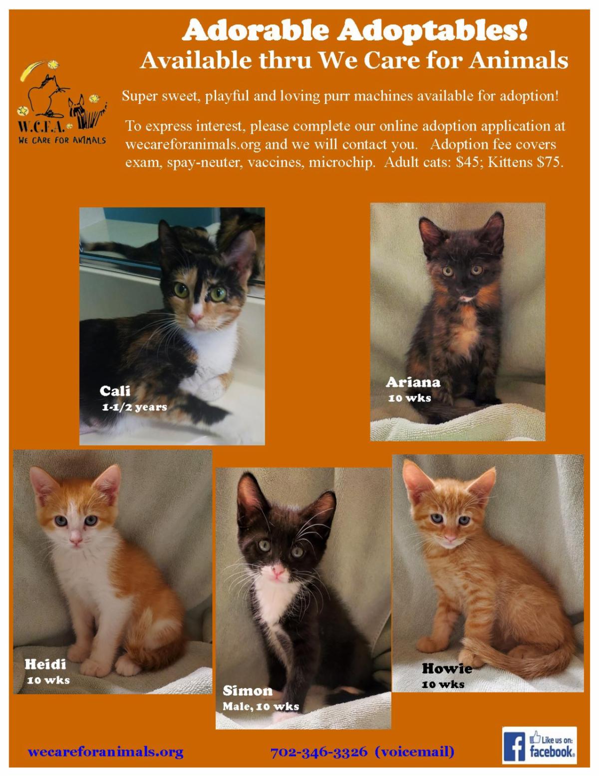 The latest news for you