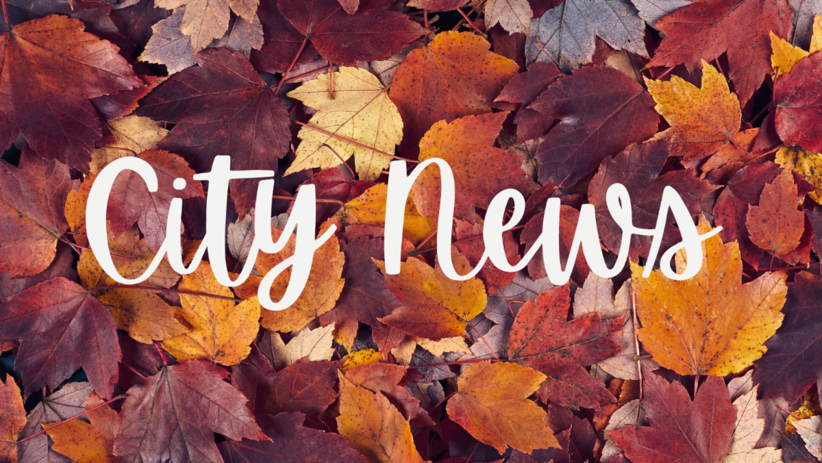 City News 