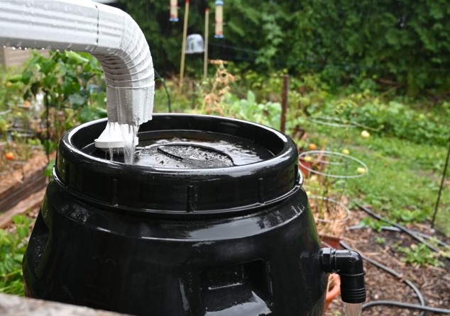 Rain barrel collecting water