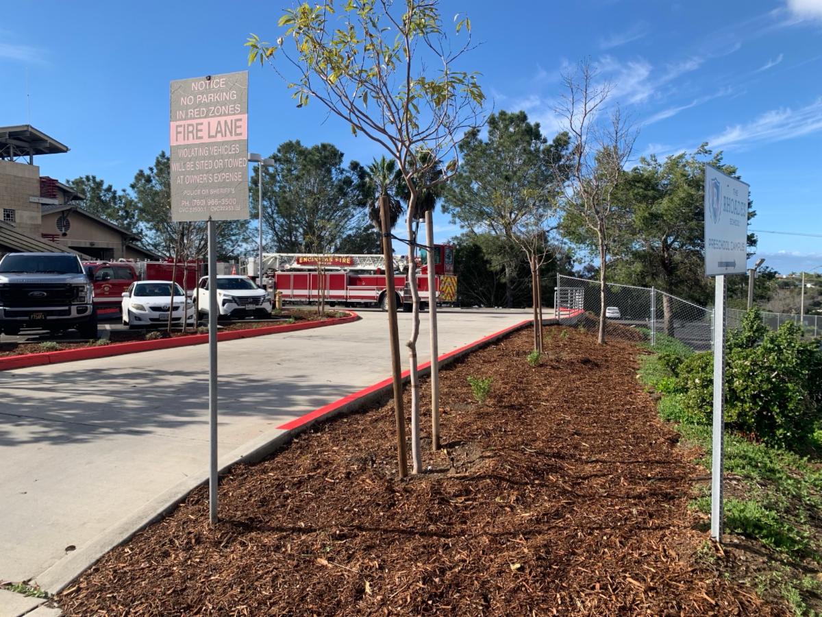 Fire station 5 with new fire-resistant landscaping, driveway view