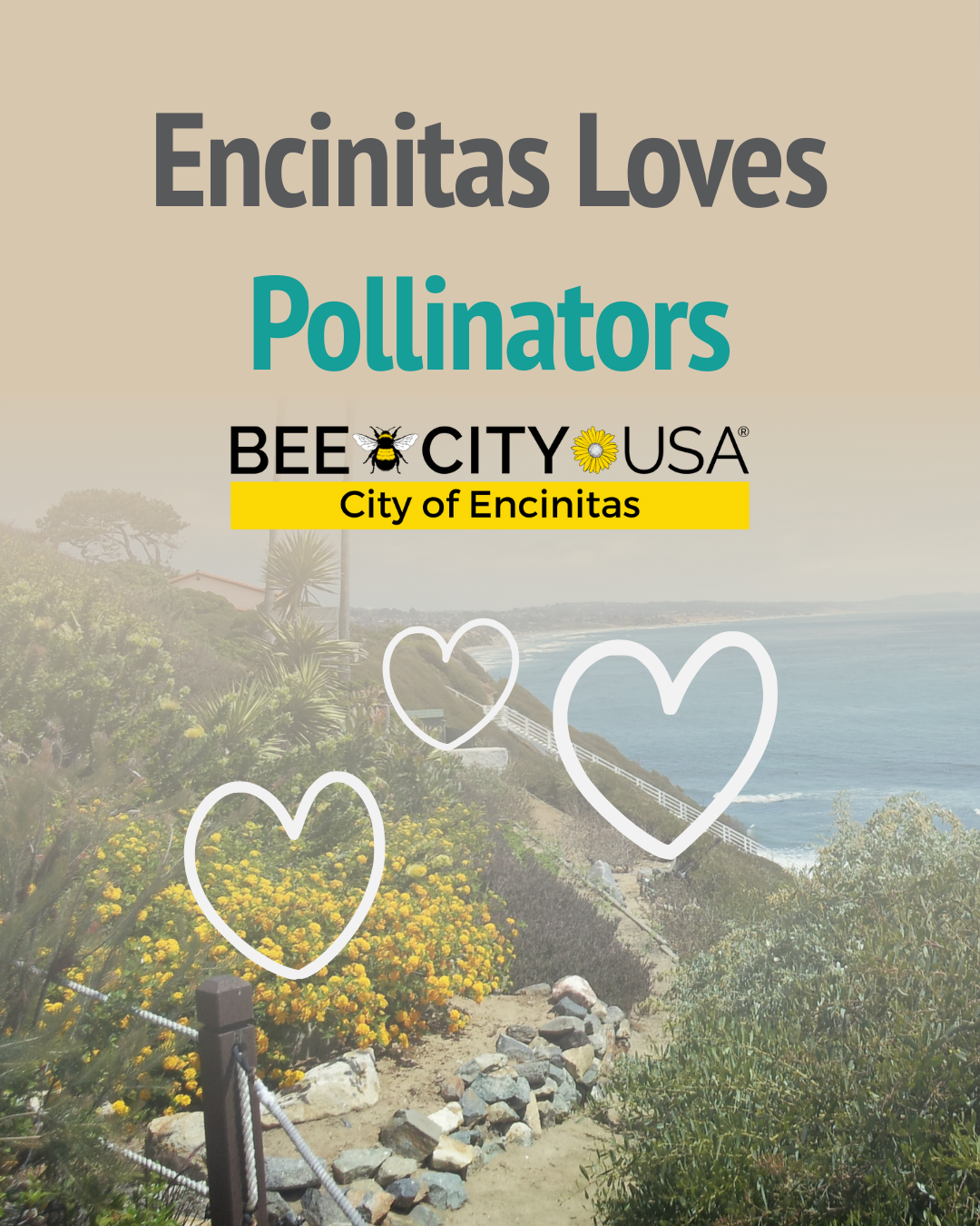 Ocean view of Encinitas with hearts and the Bee City USA logo 