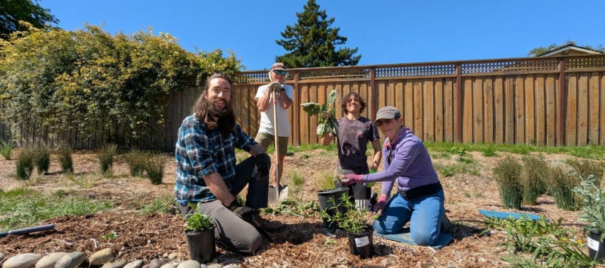 4 people working in a garden, with plants and garden tools