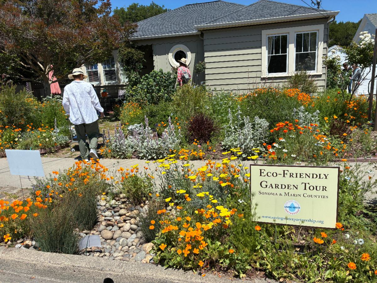 Front of a home with orange wildflowers blooming and an Eco-Friendly Garden Tour sign
