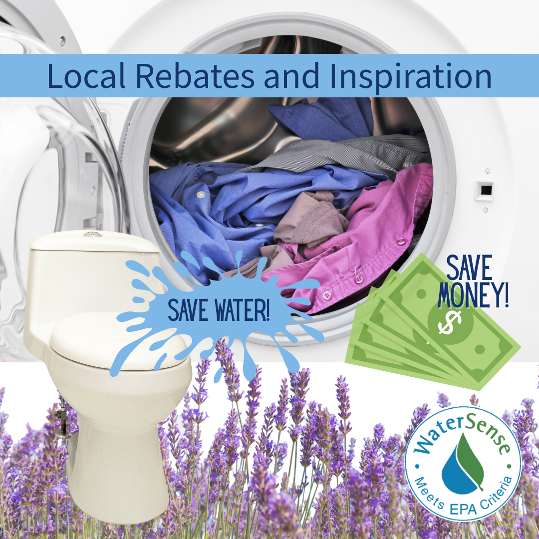 collage of images of a toilet washer and a save water and save money message