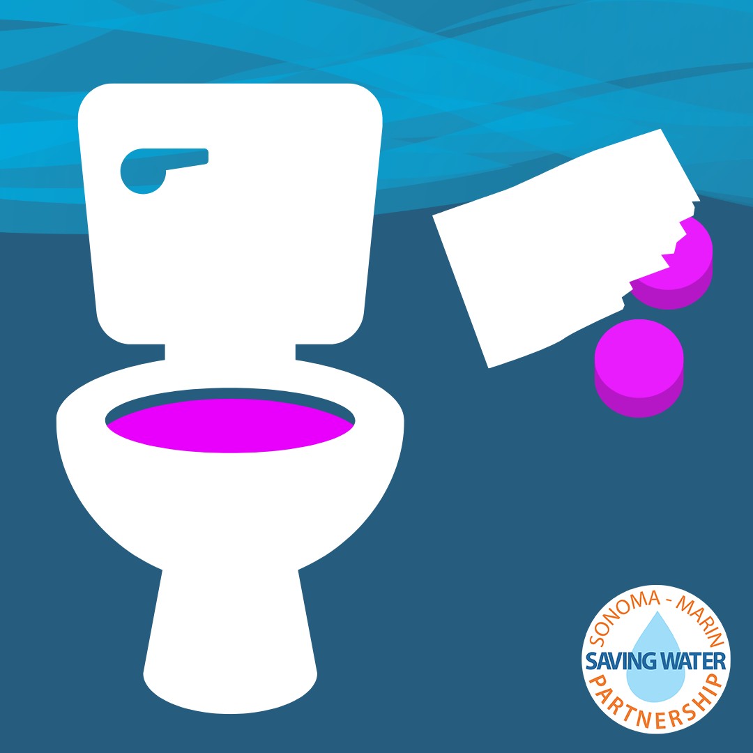 una imagen de un inodoro con agua de color magenta en la taza y una imagen de un paquete abierto del que se caen dos comprimidos de color magenta.