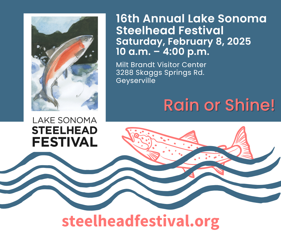 graphic promoting the steelhead festival
