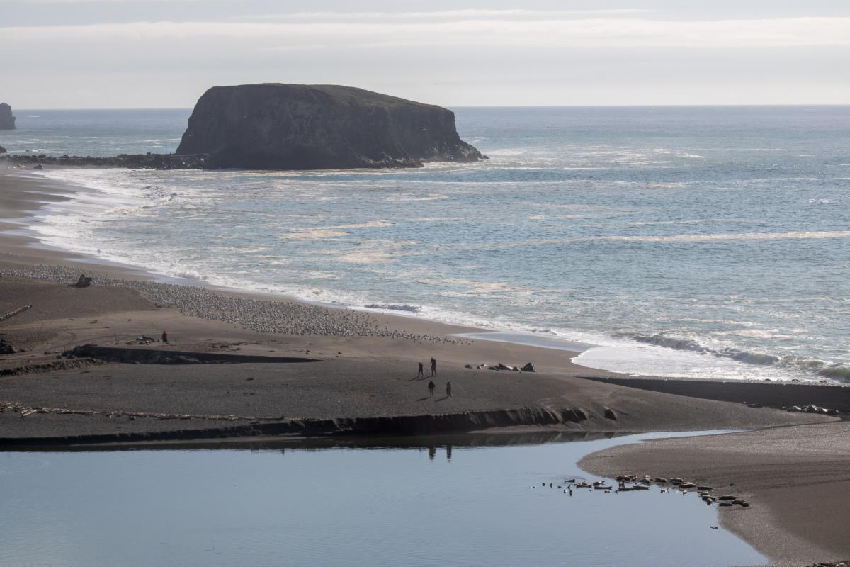 estuary at mouth of the Russian River by Goat rock