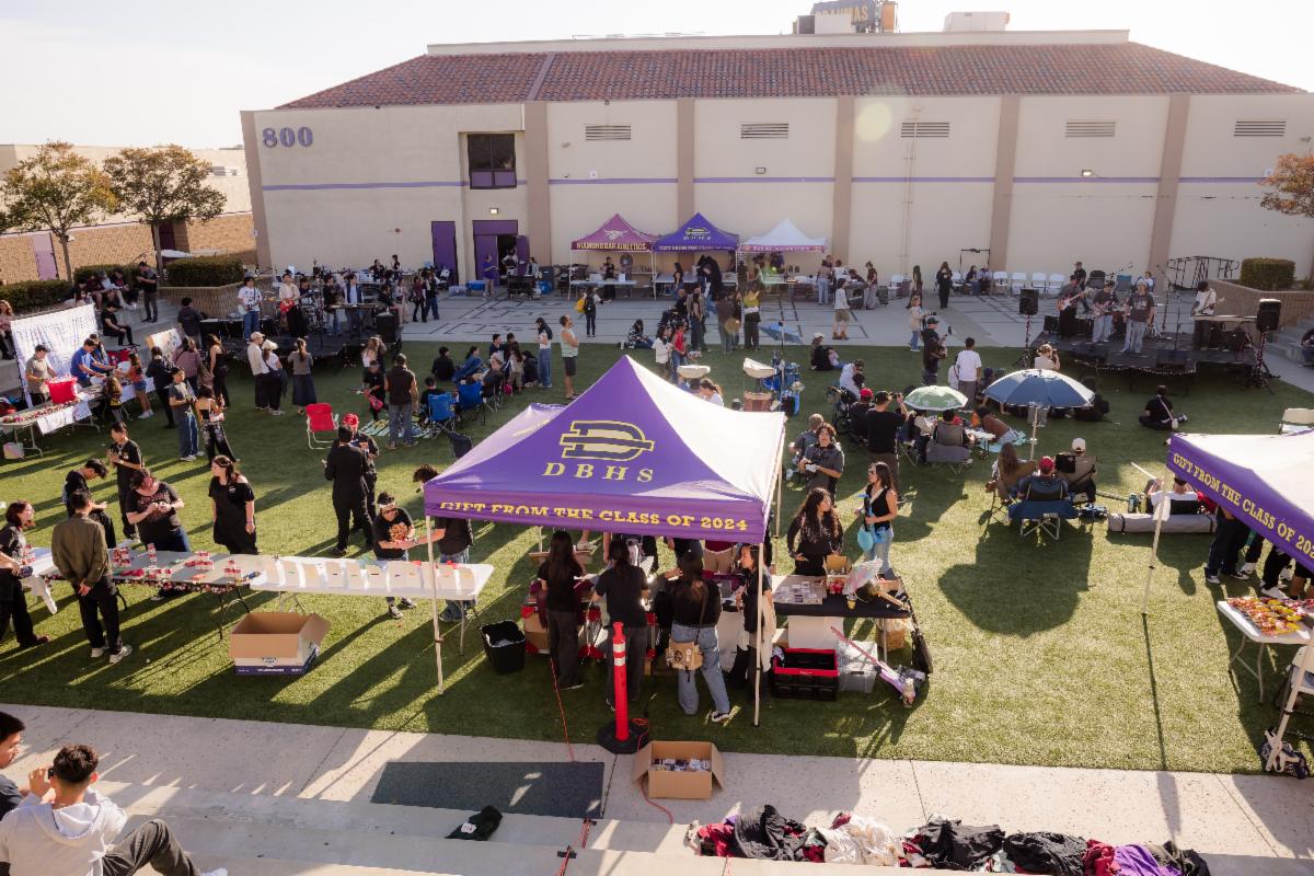 An aerial photo of a large crowd at Brahmapalooza