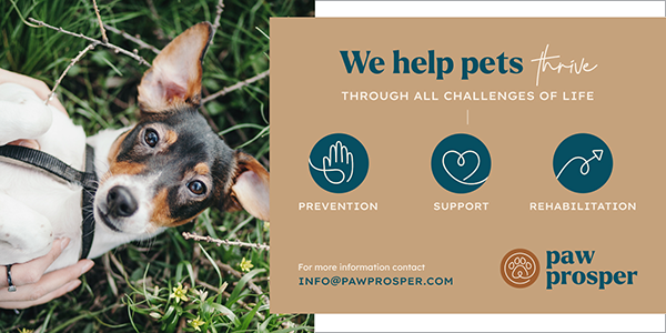 Paw Prosper banner ad