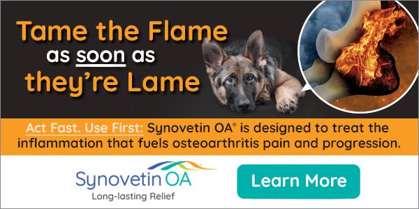 Exubrion Therapeutics Synovetin ad
