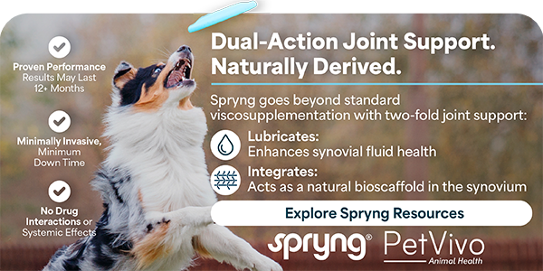 PetVivo Spryng banner ad