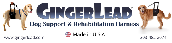 GingerLead banner ad