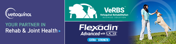Vetoquinol banner ad