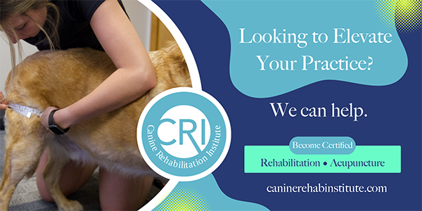 CRI banner ad