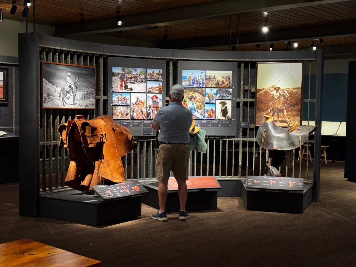 A man stands with his back to the camera as he views three panels and artifacts for the Aloha Vaqueros exhibition.